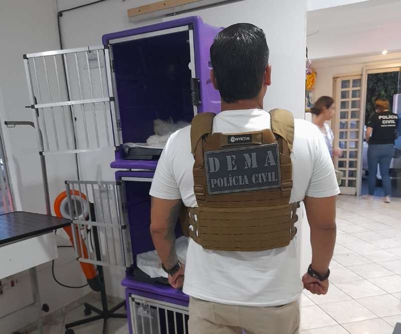 DEMA CADELAS