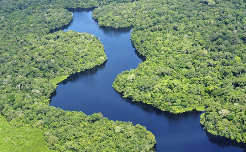 AMAZONIA