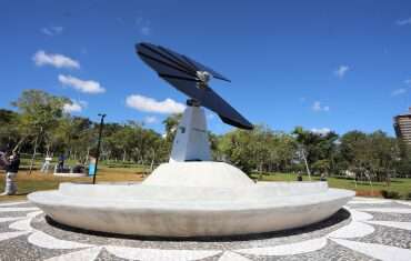Flor Solar