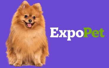 EXPOPET2.jpg